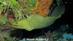 Canon G10, Cozumel,Mexico- by Alfonso Alcantara F. 